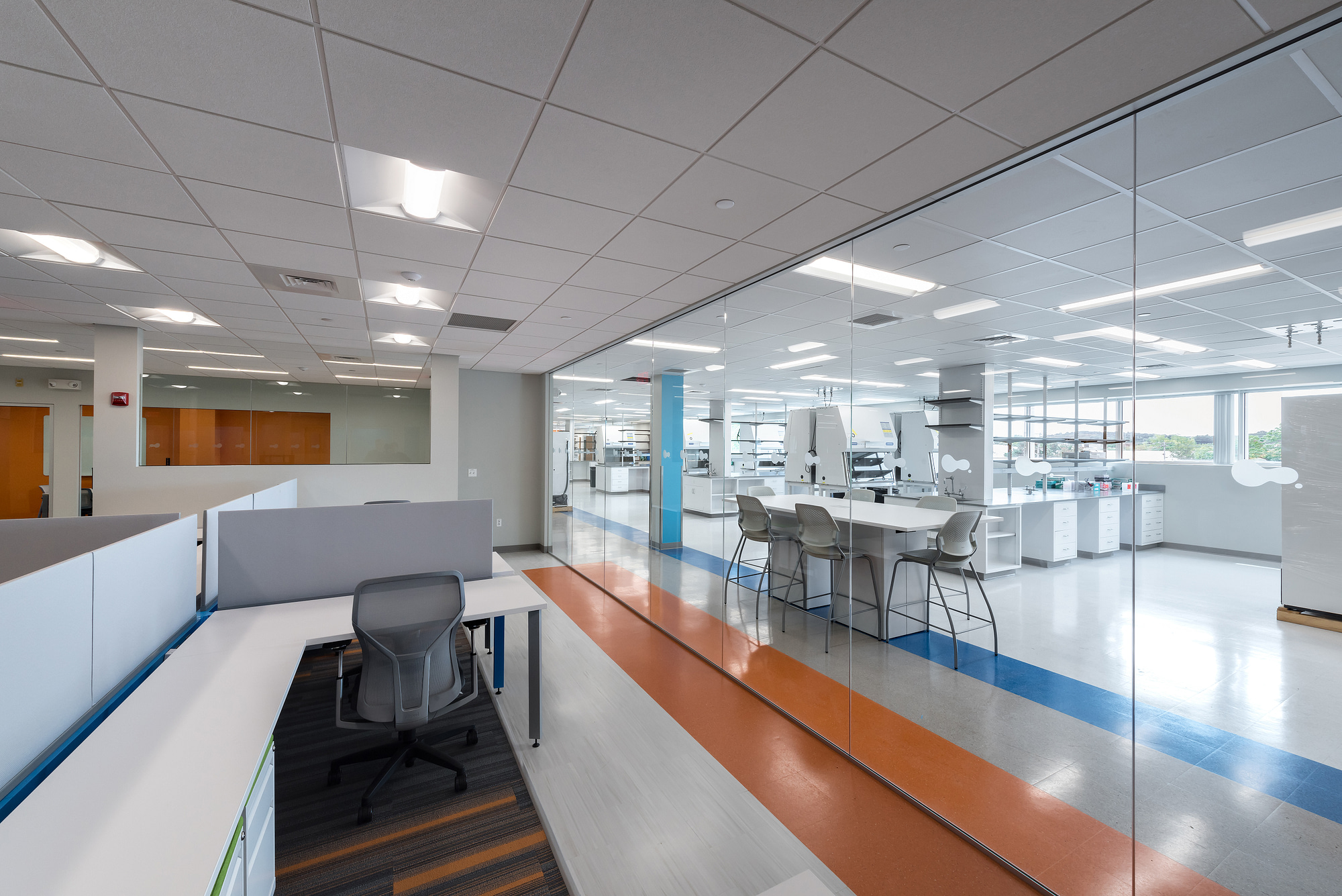 SQZ Biotech