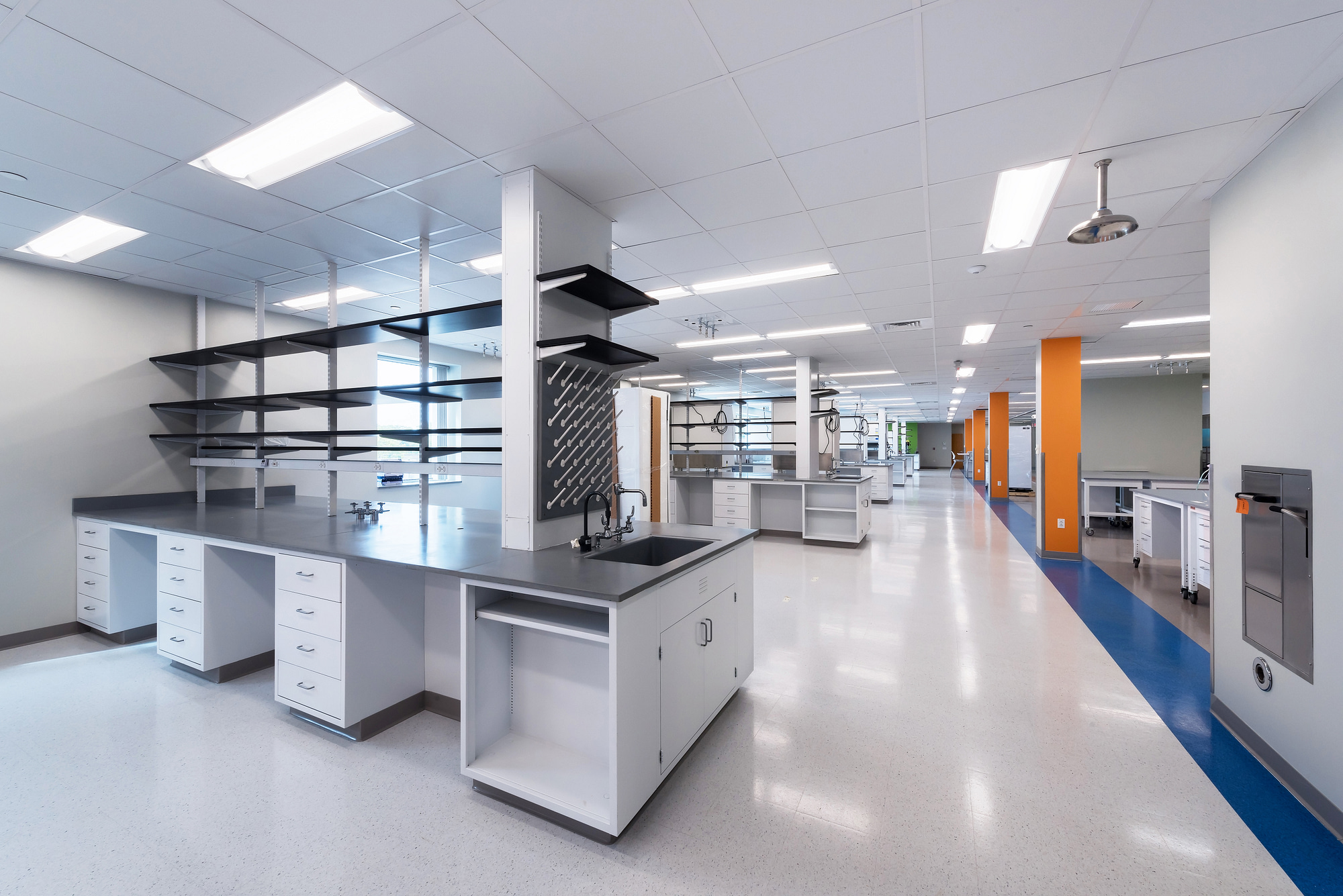 SQZ Biotech