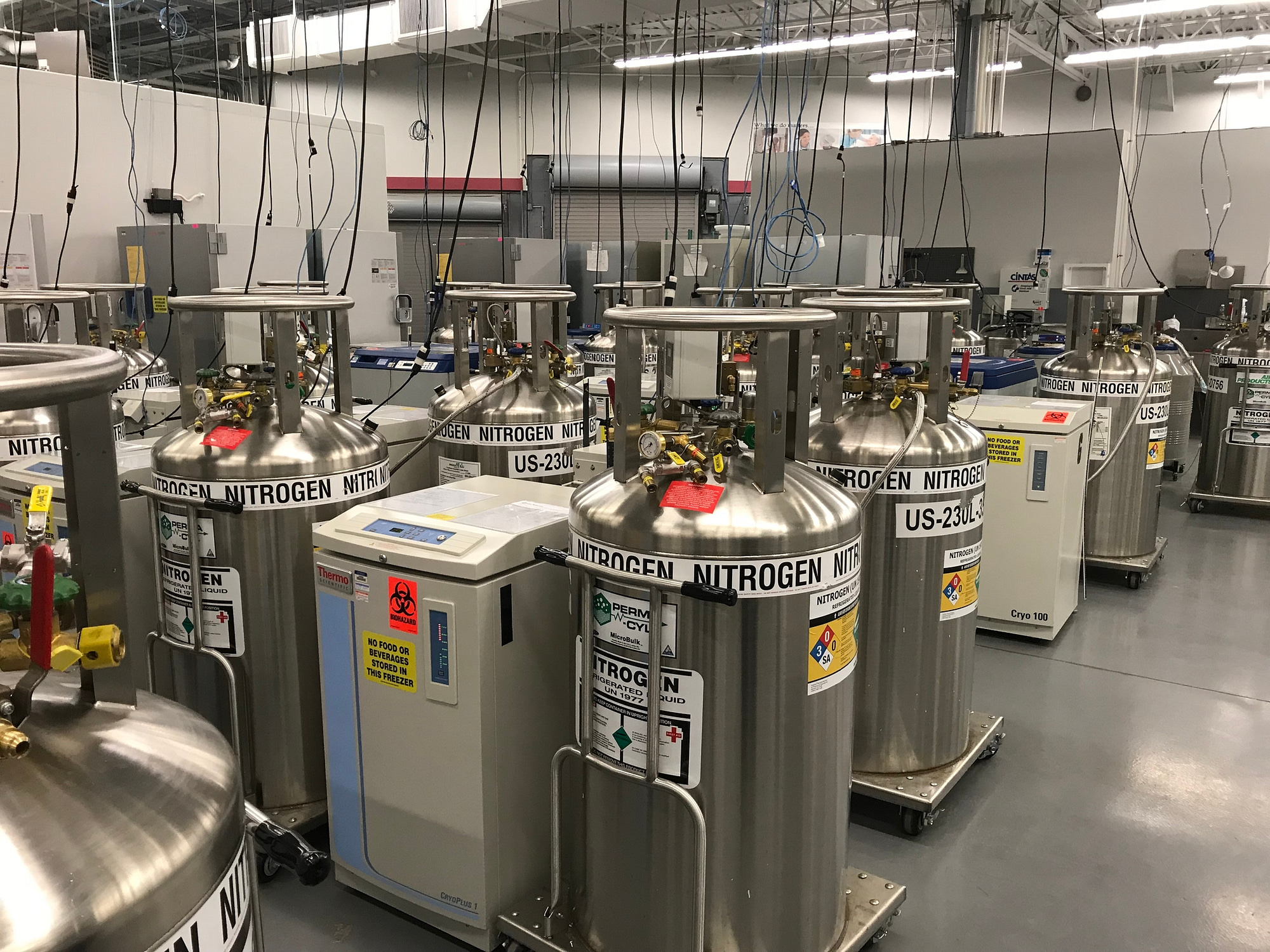 ThermoFisher-s4