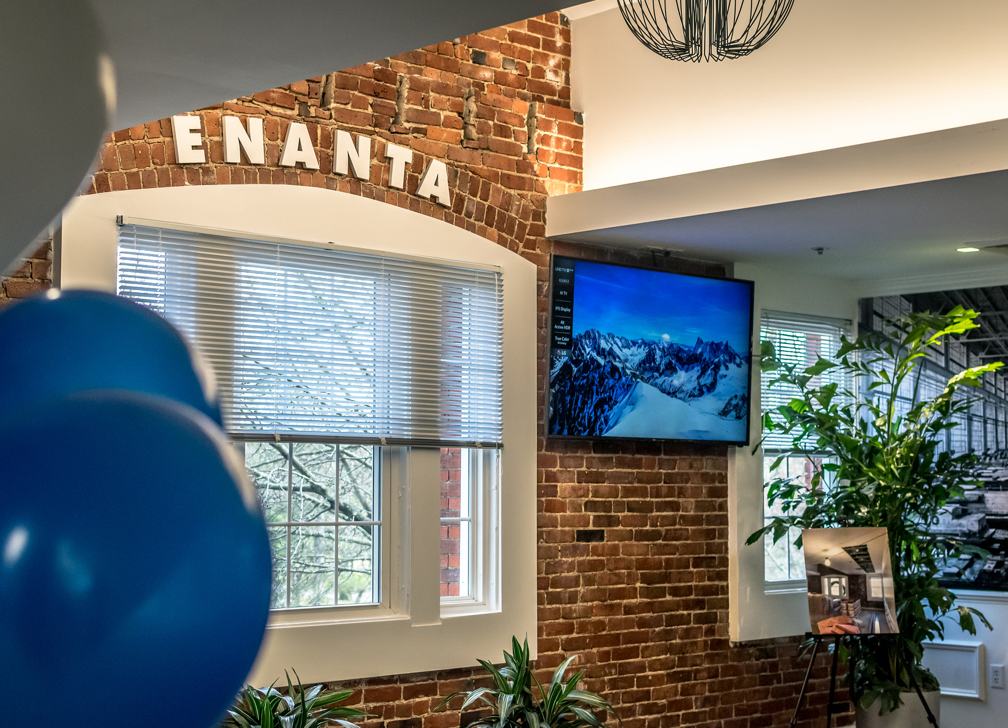 Enanta-s1